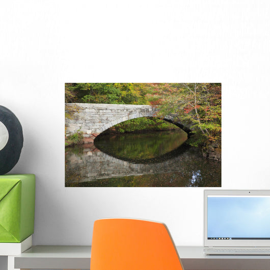 Bridge over river in autumn Wall Mural