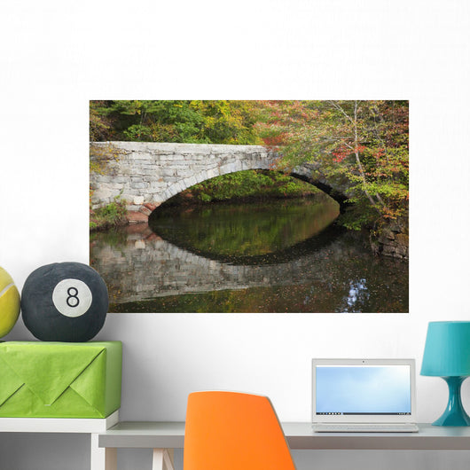 Bridge over river in autumn Wall Mural