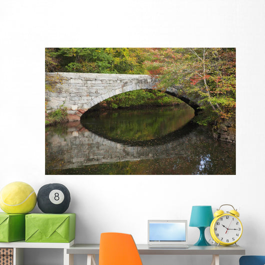 Bridge over river in autumn Wall Mural