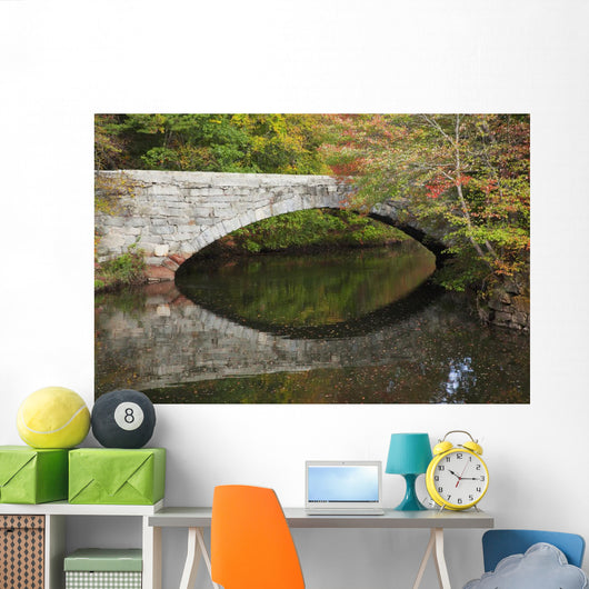 Bridge over river in autumn Wall Mural