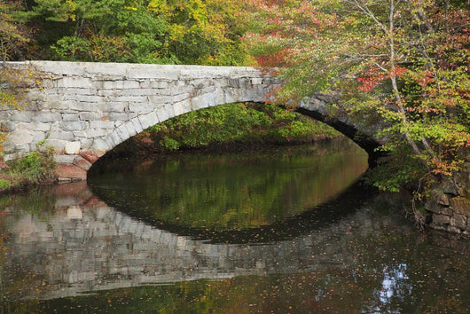 Bridge over river in autumn Wall Mural