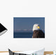 Alaska, A stoic Bald Eagle against a clear blue sky Wall Mural