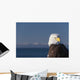 Alaska, A stoic Bald Eagle against a clear blue sky Wall Mural