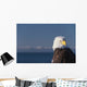 Alaska, A stoic Bald Eagle against a clear blue sky Wall Mural
