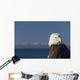 Alaska, A stoic Bald Eagle against a clear blue sky Wall Mural