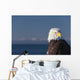 Alaska, A stoic Bald Eagle against a clear blue sky Wall Mural