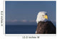 Alaska, A stoic Bald Eagle against a clear blue sky Wall Mural