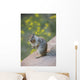 Utah, Zion National Park, Rock Squirrel on ledge Wall Mural