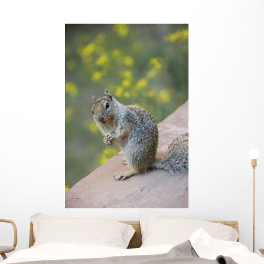 Utah, Zion National Park, Rock Squirrel on ledge Wall Mural