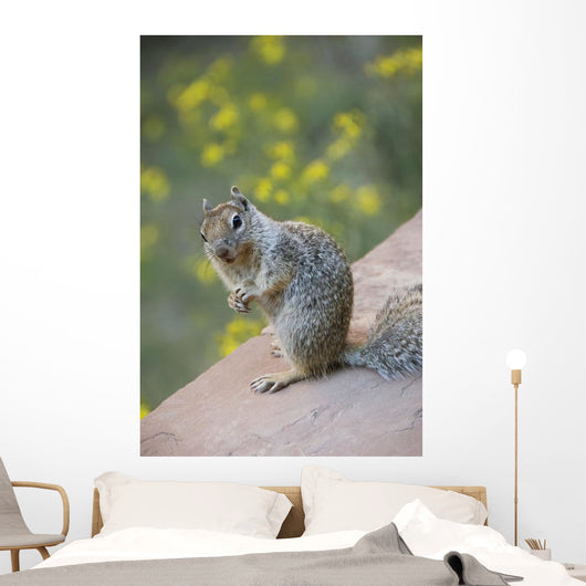 Utah, Zion National Park, Rock Squirrel on ledge Wall Mural