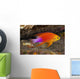 Hawaii, a male Hawaiian longfin anthias swimming on the ocean floor Wall Mural