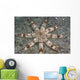Hawaii, Maui, An unusual eight-armed seastar on the ocean floor Wall Mural