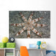 Hawaii, Maui, An unusual eight-armed seastar on the ocean floor Wall Mural