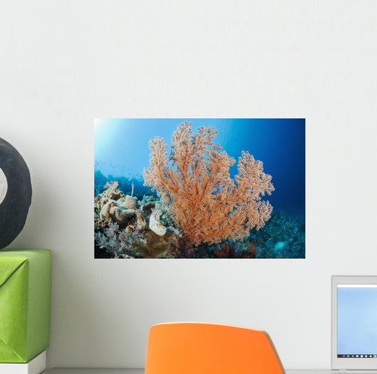 Indonesia, A gorgonian coral tree dominates this underwater scene Wall Mural