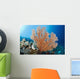 Indonesia, A gorgonian coral tree dominates this underwater scene Wall Mural