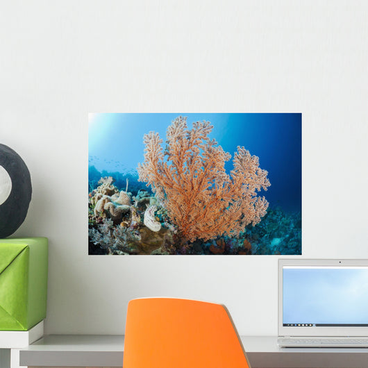 Indonesia, A gorgonian coral tree dominates this underwater scene Wall Mural