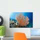 Indonesia, A gorgonian coral tree dominates this underwater scene Wall Mural