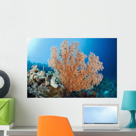 Indonesia, A gorgonian coral tree dominates this underwater scene Wall Mural