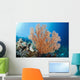 Indonesia, A gorgonian coral tree dominates this underwater scene Wall Mural