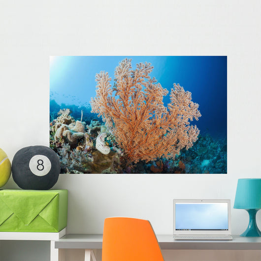 Indonesia, A gorgonian coral tree dominates this underwater scene Wall Mural