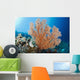 Indonesia, A gorgonian coral tree dominates this underwater scene Wall Mural
