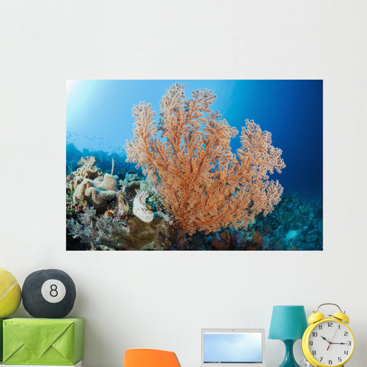Indonesia, A gorgonian coral tree dominates this underwater scene Wall Mural