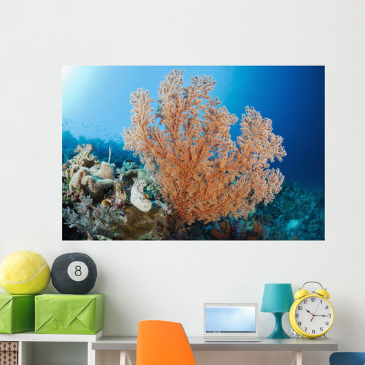 Indonesia, A gorgonian coral tree dominates this underwater scene Wall Mural