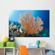 Indonesia, A gorgonian coral tree dominates this underwater scene Wall Mural