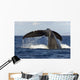 Hawaii, Lanai, Tail of a humpback whale Wall Mural