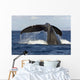 Hawaii, Lanai, Tail of a humpback whale Wall Mural