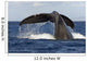 Hawaii, Lanai, Tail of a humpback whale Wall Mural