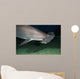 Hawaii, Scalloped hammerhead shark on the ocean floor Wall Mural