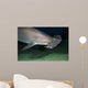 Hawaii, Scalloped hammerhead shark on the ocean floor Wall Mural