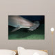 Hawaii, Scalloped hammerhead shark on the ocean floor Wall Mural