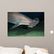 Hawaii, Scalloped hammerhead shark on the ocean floor Wall Mural