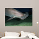 Hawaii, Scalloped hammerhead shark on the ocean floor Wall Mural