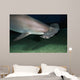 Hawaii, Scalloped hammerhead shark on the ocean floor Wall Mural