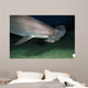 Hawaii, Scalloped hammerhead shark on the ocean floor Wall Mural