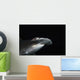 Hawaii, Scalloped hammerhead shark on the ocean floor Wall Mural