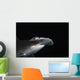 Hawaii, Scalloped hammerhead shark on the ocean floor Wall Mural