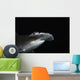 Hawaii, Scalloped hammerhead shark on the ocean floor Wall Mural