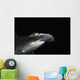 Hawaii, Scalloped hammerhead shark on the ocean floor Wall Mural