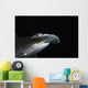 Hawaii, Scalloped hammerhead shark on the ocean floor Wall Mural