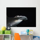 Hawaii, Scalloped hammerhead shark on the ocean floor Wall Mural