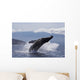 Propelling its body from the ocean Wall Mural