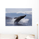 Propelling its body from the ocean Wall Mural