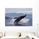 Propelling its body from the ocean Wall Mural