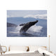 Propelling its body from the ocean Wall Mural