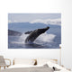 Propelling its body from the ocean Wall Mural