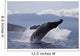 Propelling its body from the ocean Wall Mural